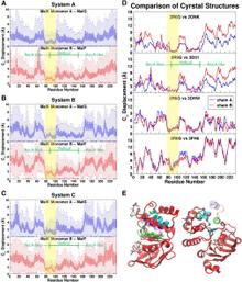 Figure 4. Identifying the NBD structural motifs responsible for the EAA loop coupling.